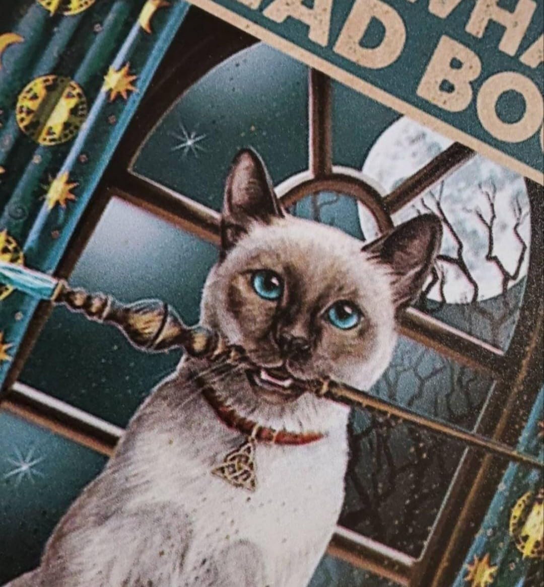 Amazon.co.jp: ブリキ看板 HANAKO レトロ 猫カフェ 猫の看板 S7